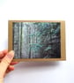 Forest Cards - READY TO SHIP - Image 2