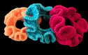 Scrunchies