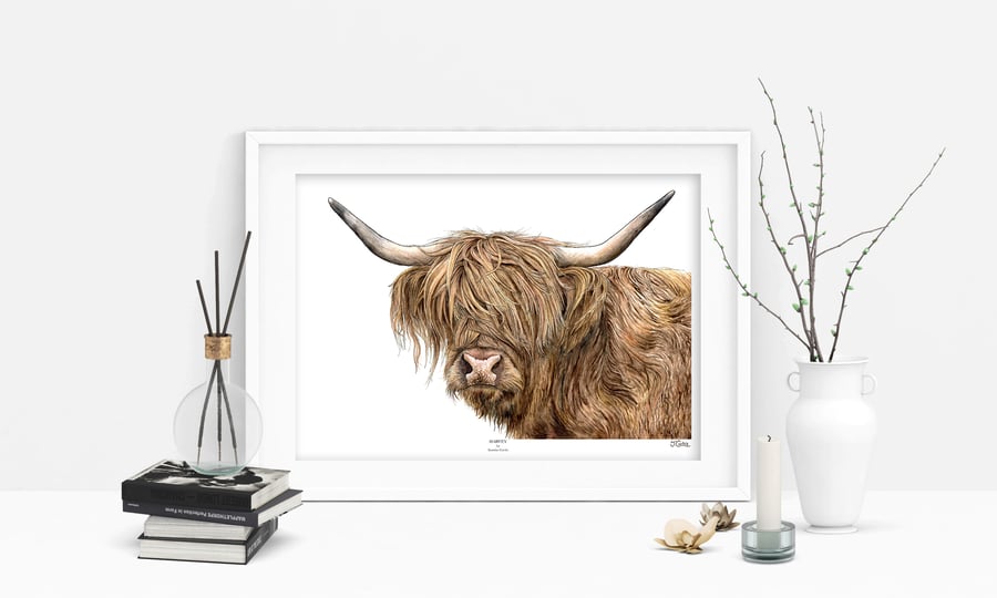 Highland Cow Art Print - 'Harvey' - A5 A4 A3 Wildlife Art Print