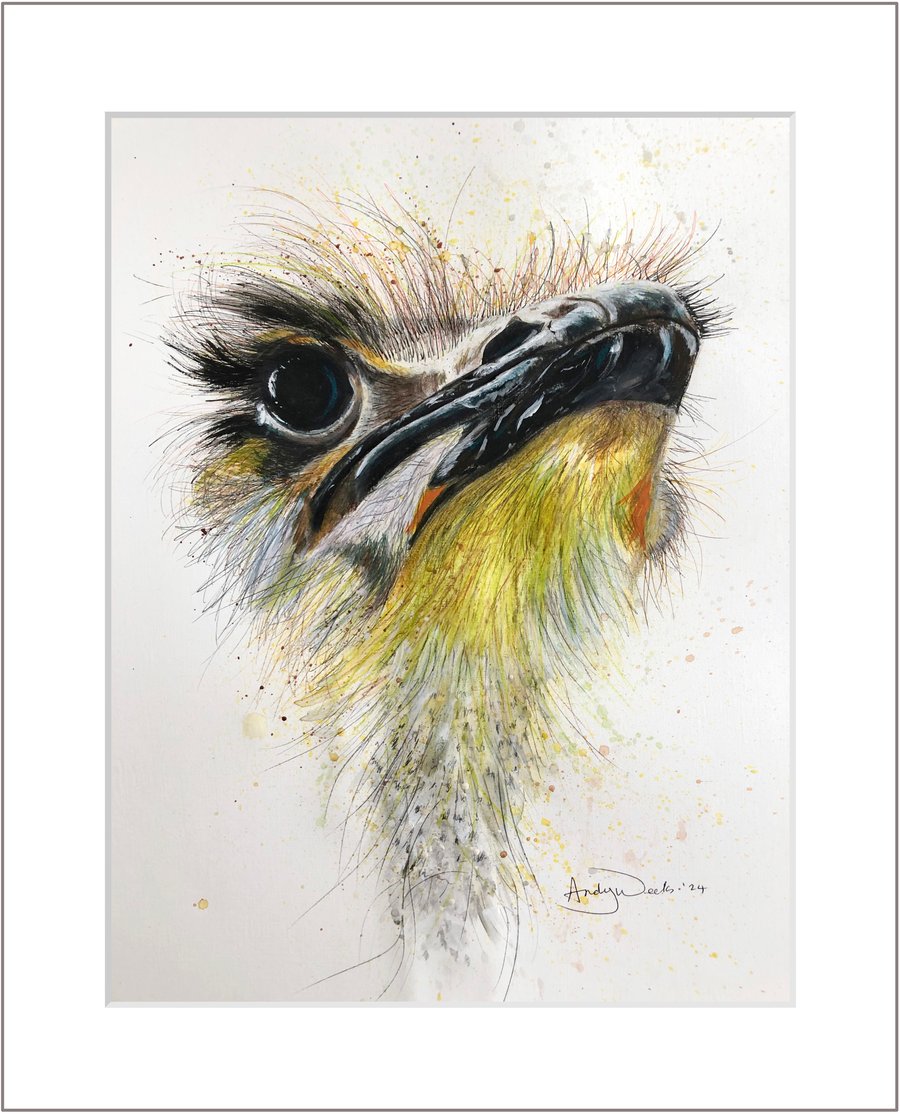 Original acrylic painting of an Ostrich