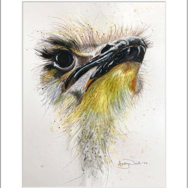 Original acrylic painting of an Ostrich