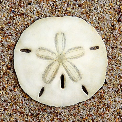 Mindful creations 72