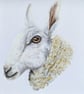 Border Leicester Ewe Acrylic Portrait Painting  - Image 2