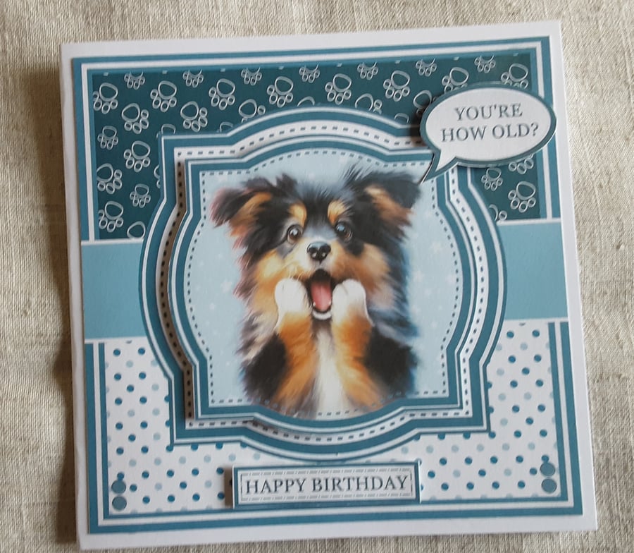 Hilarious Dog Lover Birthday Card 5 Amusing Designs to Choose From