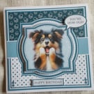 Hilarious Dog Lover Birthday Card 5 Amusing Designs to Choose From