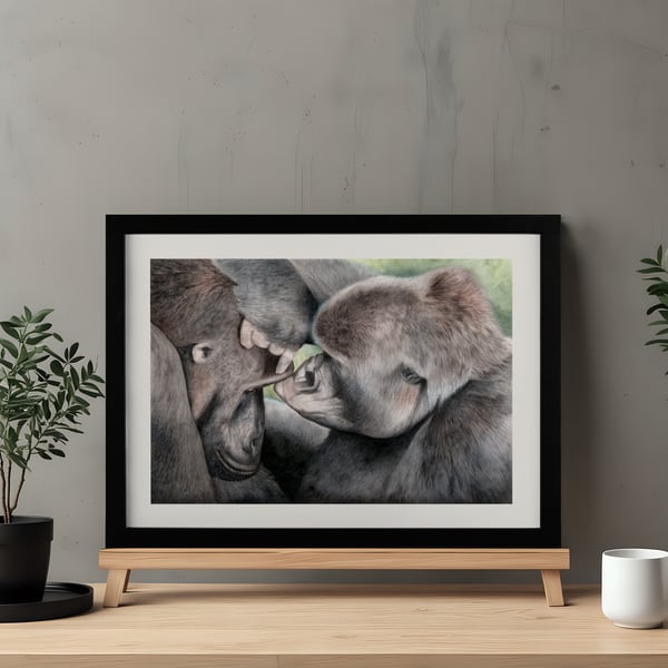 'Grooming Gorillas' Large Art Print