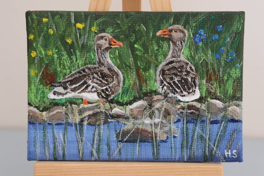 Greylag Geese Mini Painting