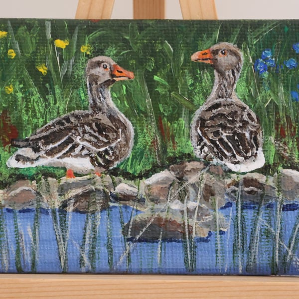 Greylag Geese Mini Painting