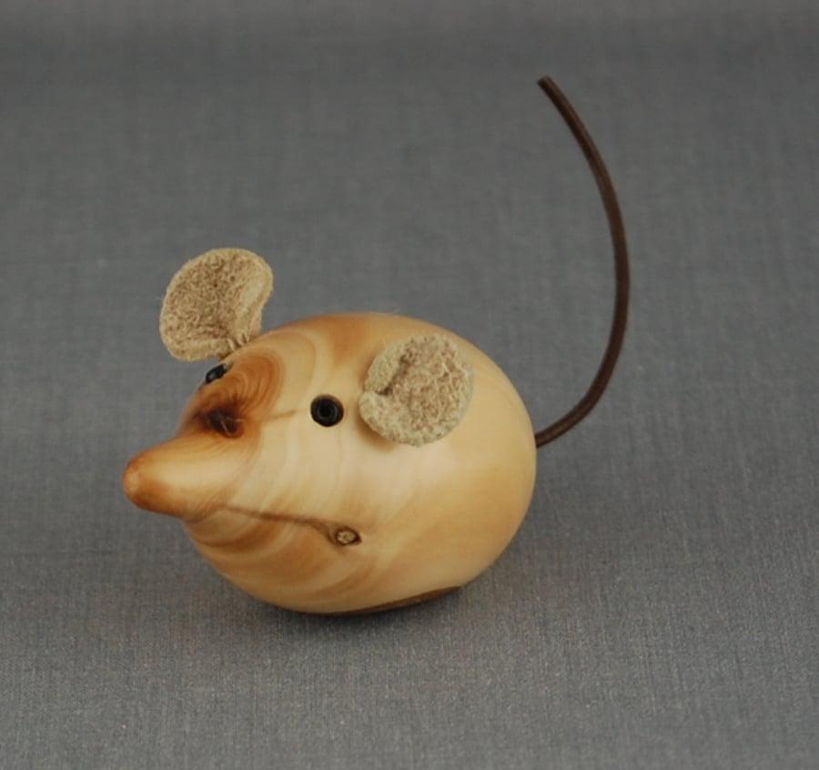 Little Mouse Needs a Home