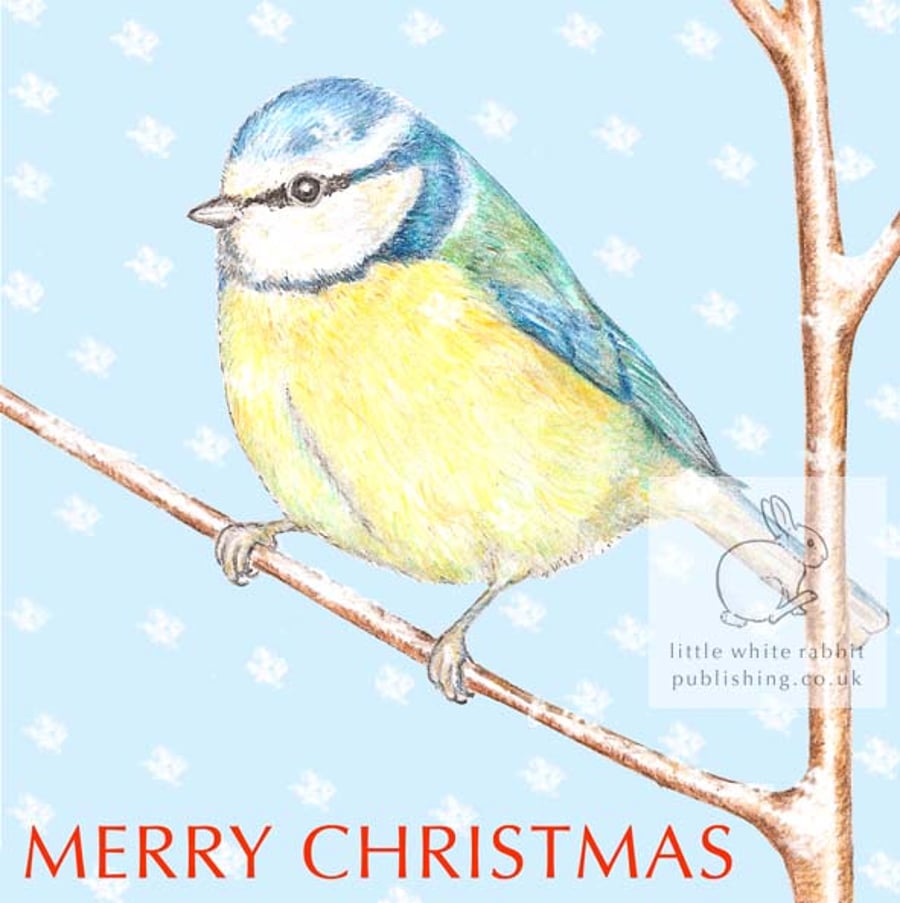 Blue Tit - Christmas Card