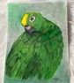 Original Green Parrot Drawing – Colour Pencil & Pastel Background