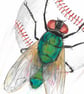 Fly Ball, Sport and a Fly. Original Painting - Image 2