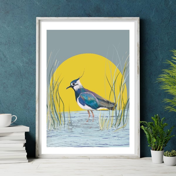 Lapwing bird art print