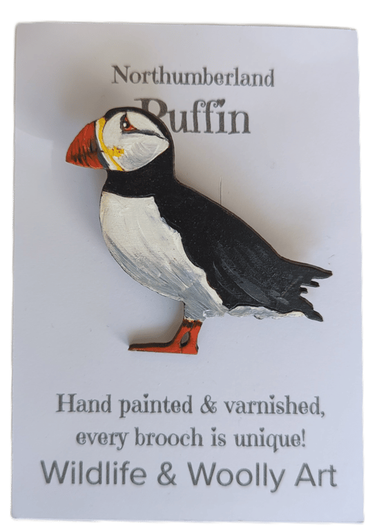 Northumberland Puffin Brooch - Hand Painted & Varnished
