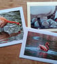 Funny Flamingo Large Square Photographic Card 6" x 6" (15cm x 15cm) Blank - Image 3