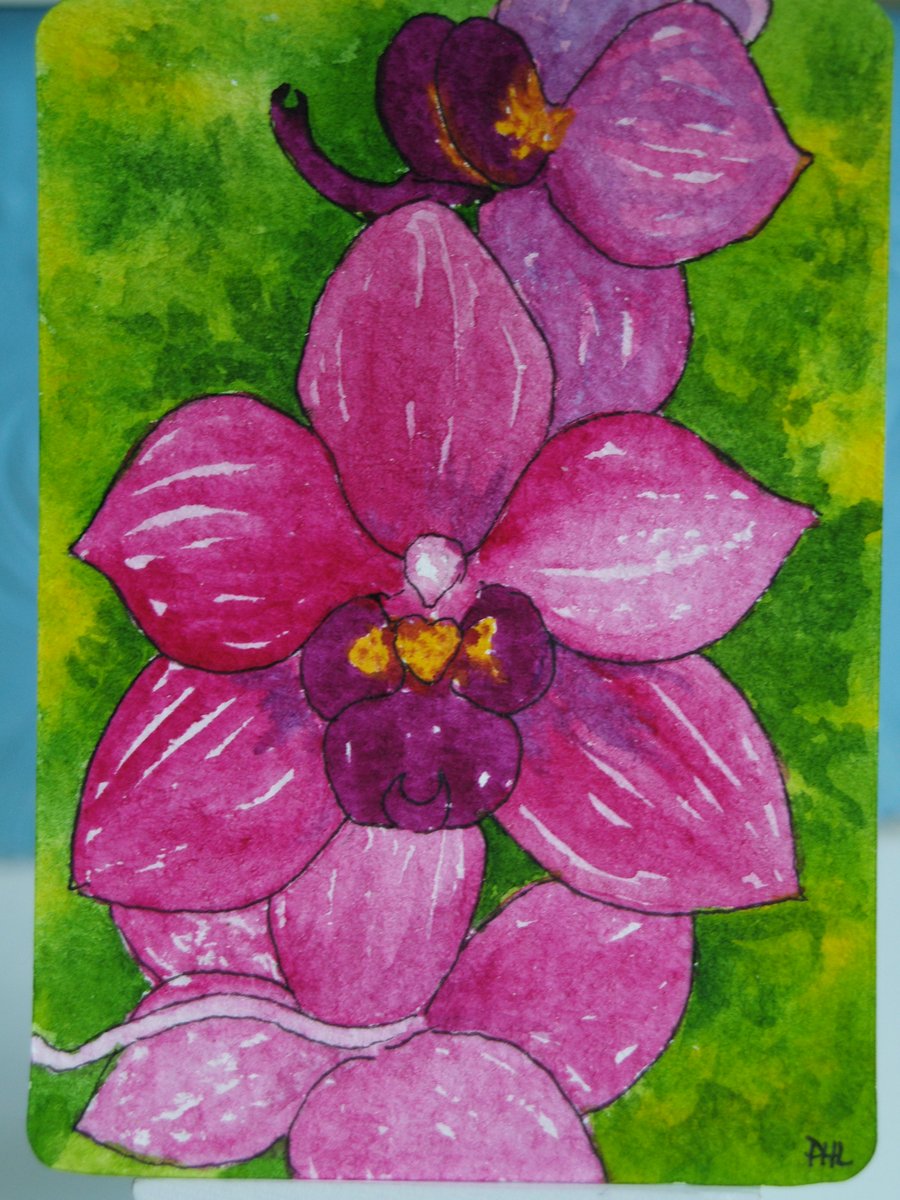ACEO Original Orchid Flowers watercolour
