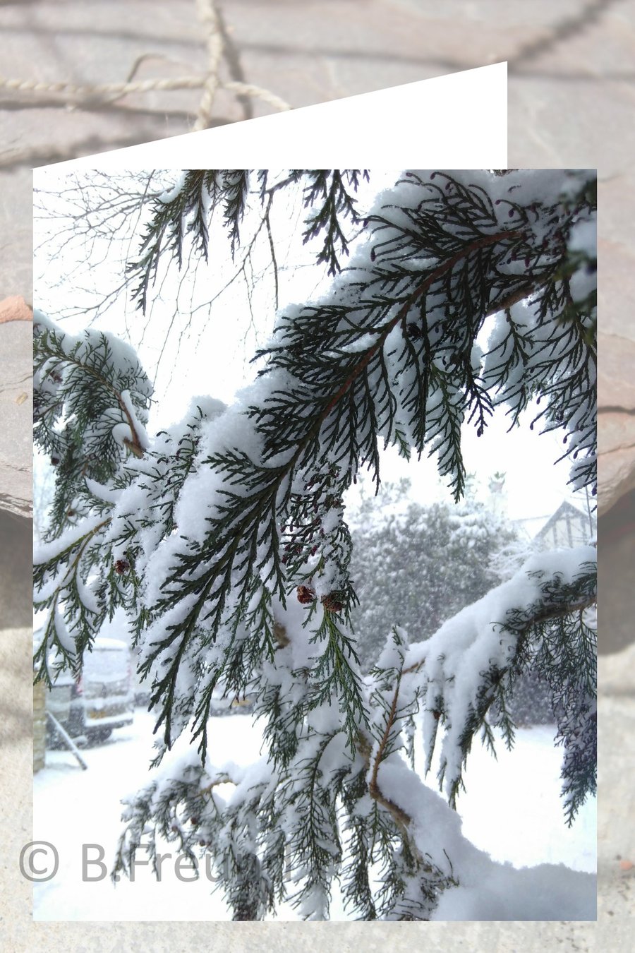 Devon Christmas Card 10% DISCOUNT!