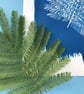 Botanical Art, Mimosa print Cyanotype, art for home, art as a gift. - Image 7