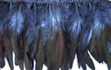 Coque Feather Fringe
