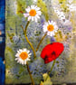 This Year's First Poppies and Ox-Eye Daisies (SunPrint003) - Image 5