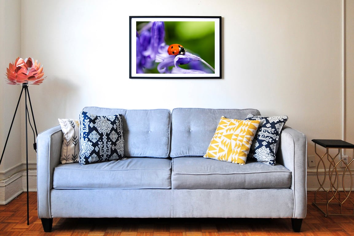 Ladybird on bluebell wall art print