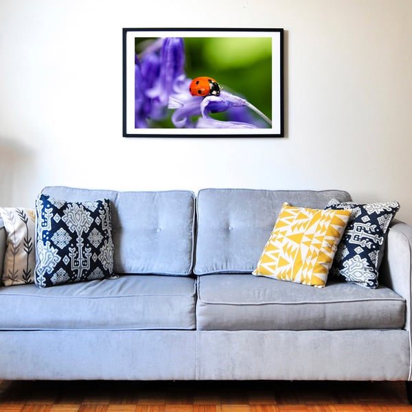 Ladybird on bluebell wall art print