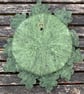 Green man (oak leaves), needle felted woollen sculpture, wall art - Image 7