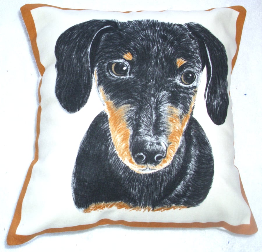 Portrait picture of a Dachshund facing forward cushion,