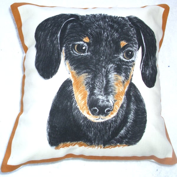Portrait picture of a Dachshund facing forward cushion,