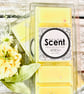 Refresh Snap Bar Wax Melts - Image 1