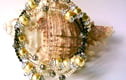 Beguiling Bangles
