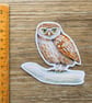 Little Owl Fridge Magnet - Image 2