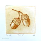 Acorn drypoint no.1 of 10 forest floor shades of autumn small scale print