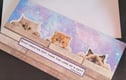 CAT & DOG CARDS