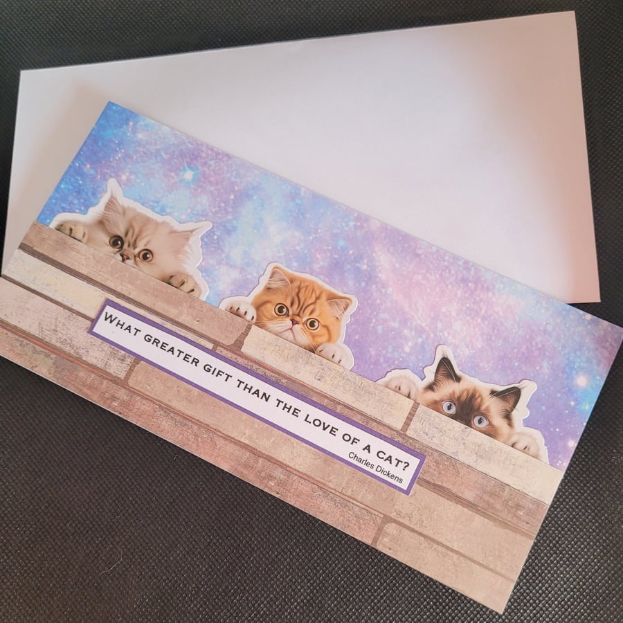 Peeping cats blank greetings card - persian
