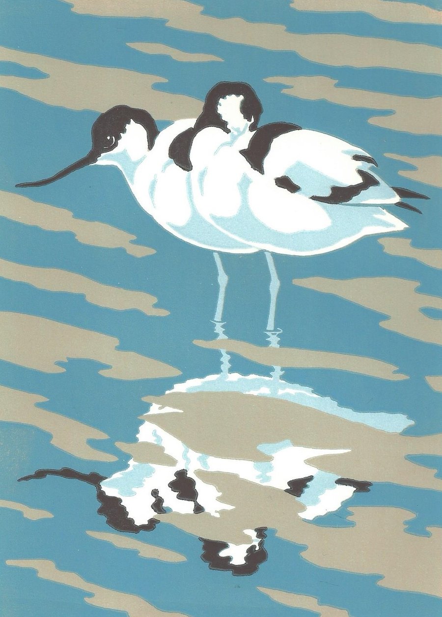 Reflection (Avocets)