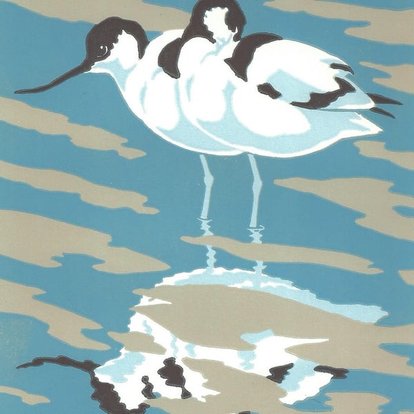 Reflection (Avocets)