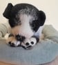 Border Collie New Born Puppy, Dotpebblesknits  Design - Image 4