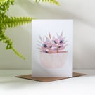 Blank Greeting Card Luscious leaves Pastel Pink Plant in Pots Card