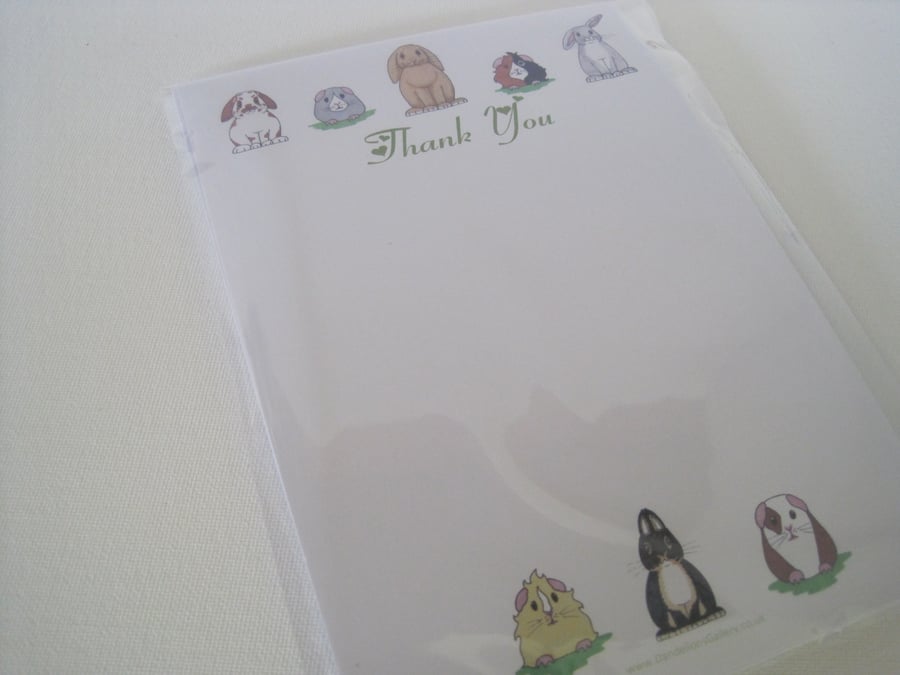 Bunny and Guinea Pig