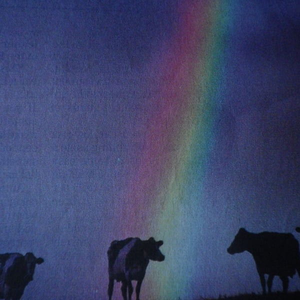  The Chosen One A4, unframed , mounted, free hook & easel free shipping Ref 4004