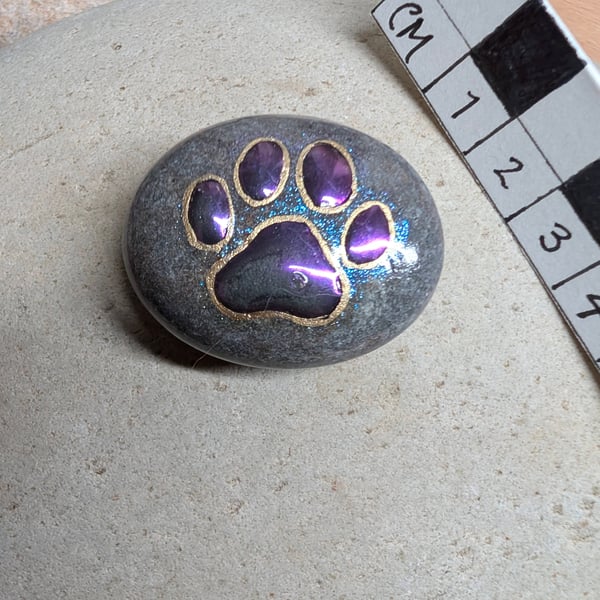 Paw Print Stone