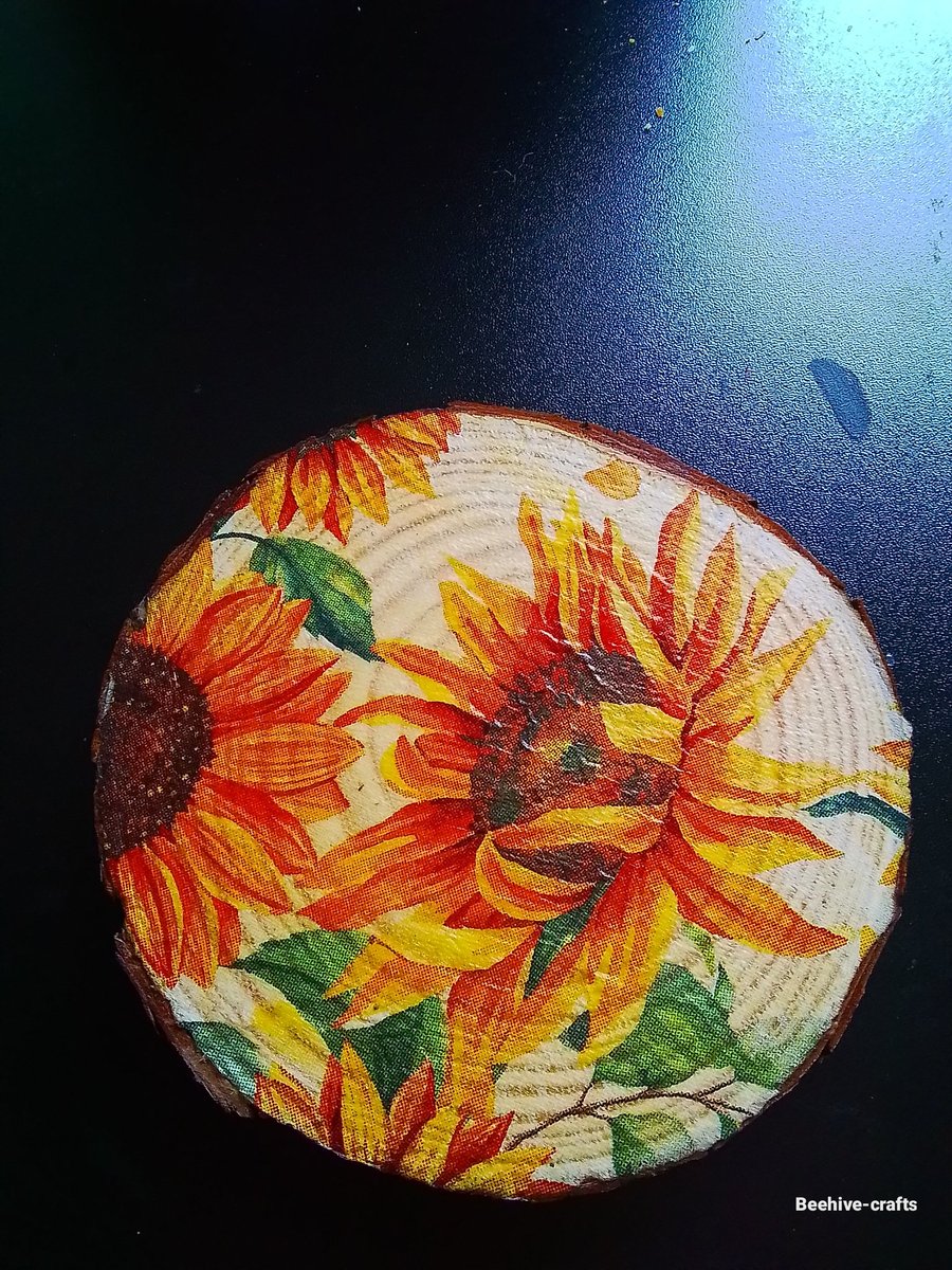 Woodslice decoupage coaster