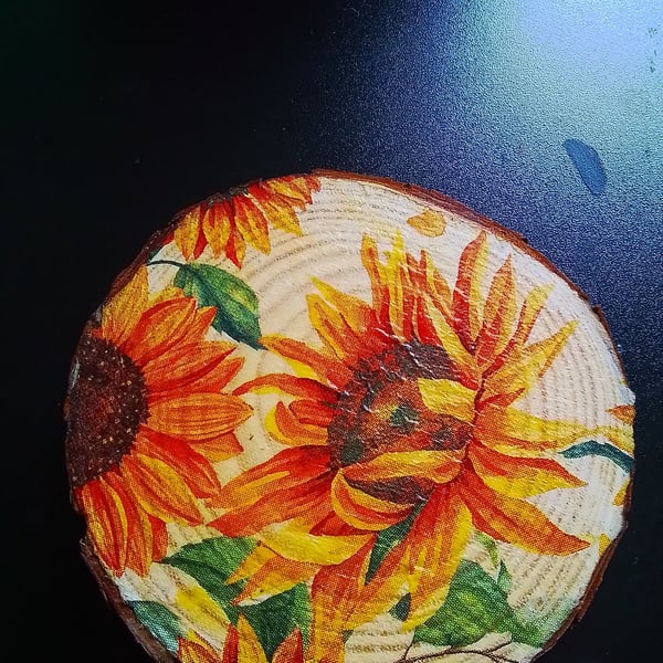Woodslice sunflower decoupage coaster