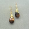 Tigers Eye Earrings