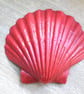 Tulip field handpainted scallop shell Trinket dish.   - Image 6