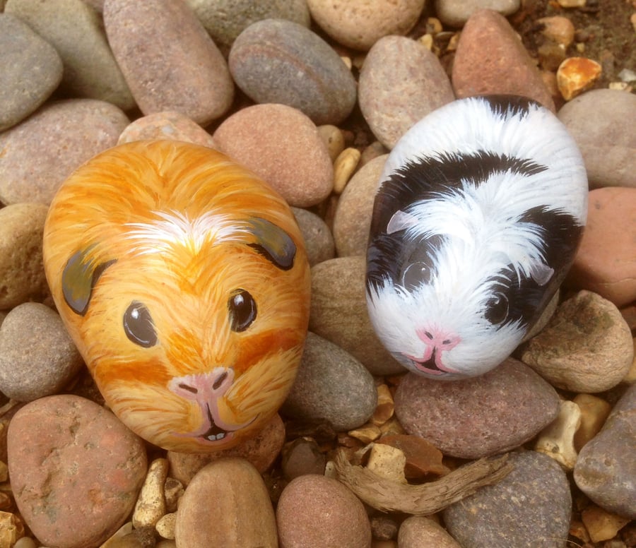 Guinea pigs hand painted on cobble rock 