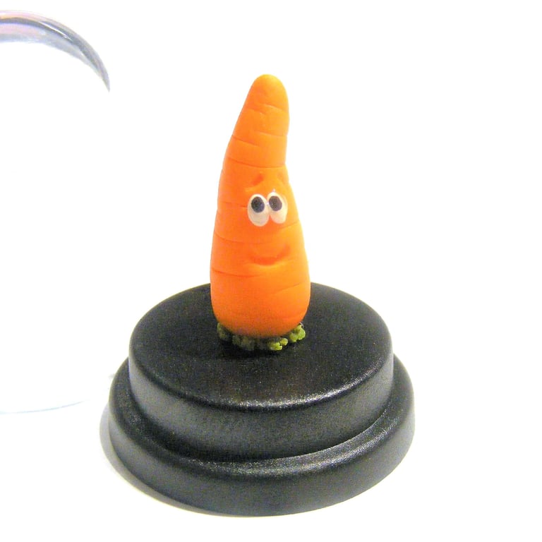 Pet Carrot, Pet Vegetable gift, Vegetarian gift