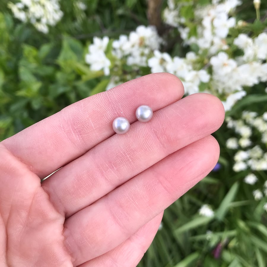 Silver Grey Pearl Stud Earrings - Real Pearl Studs - Freshwater Pearl Earrings
