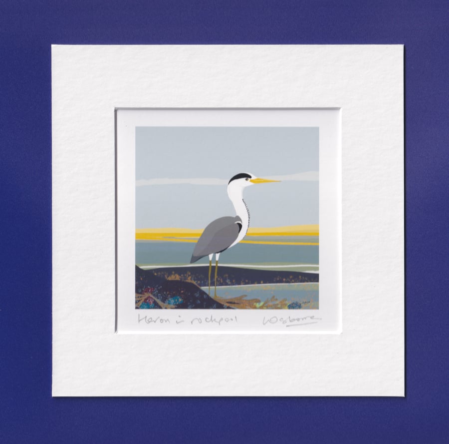 Heron in rockpool - mounted print of bird illustration